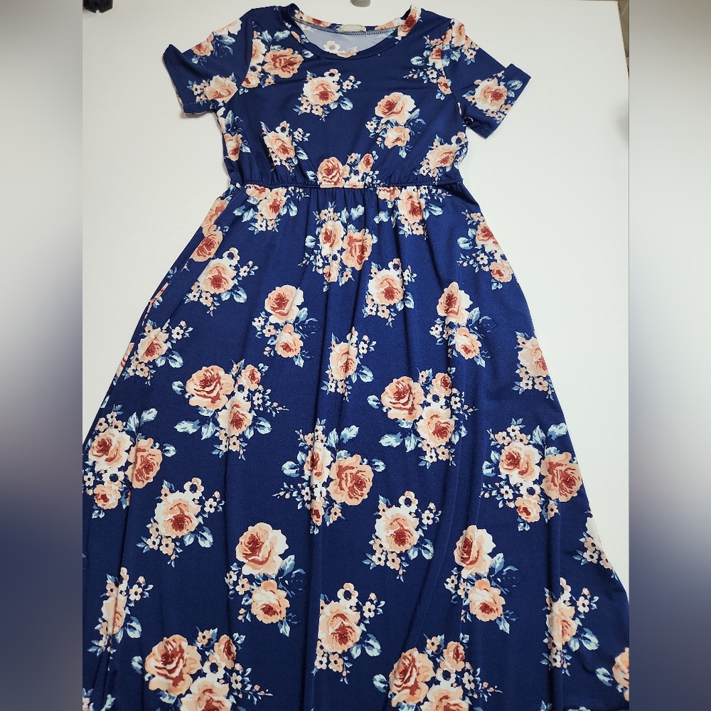 Flamingo Urban Floral Maxi Dress Blue Pink Roses Short Sleeve Size M Made in USA